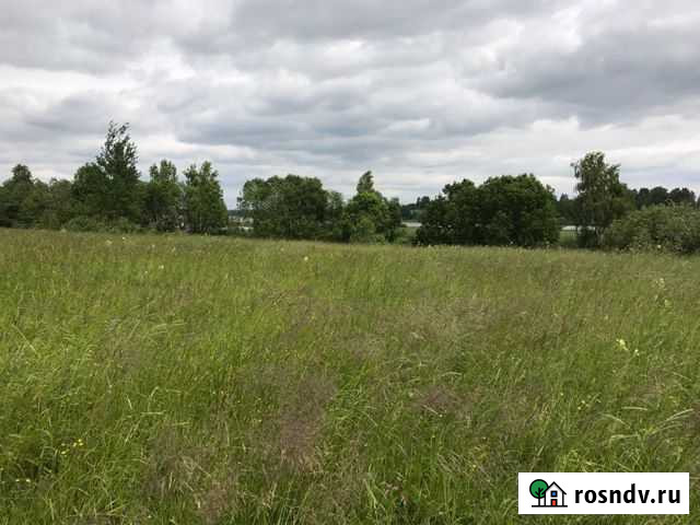 Участок СНТ, ДНП 35 сот. на продажу в Великом Новгороде Великий Новгород - изображение 1