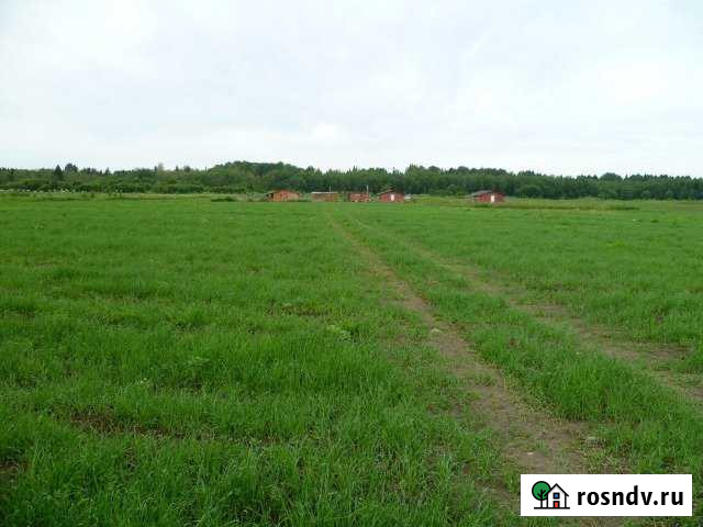 Участок СНТ, ДНП 850 сот. на продажу в Волосово Волосово - изображение 1