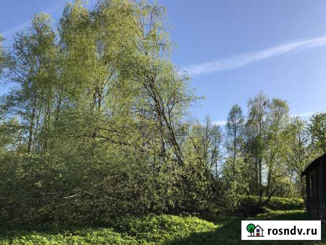 Участок ИЖС 15 сот. на продажу в Селижарово Селижарово - изображение 1