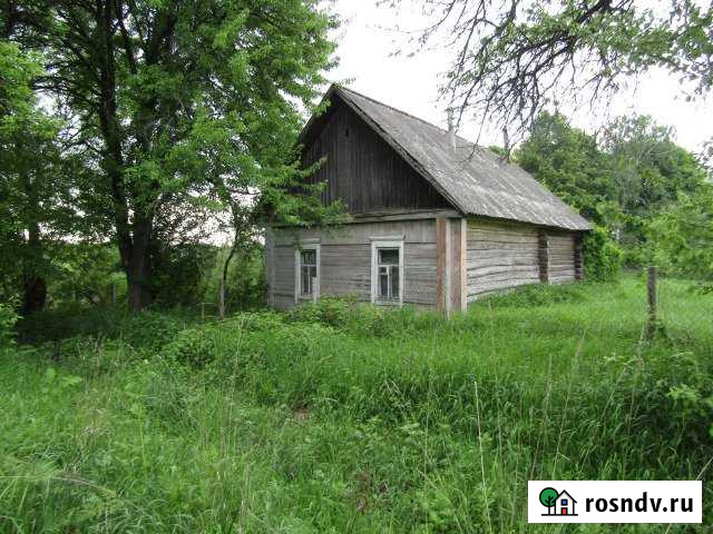Дом 47 м² на участке 20 сот. на продажу в Ржанице Ржаница - изображение 1
