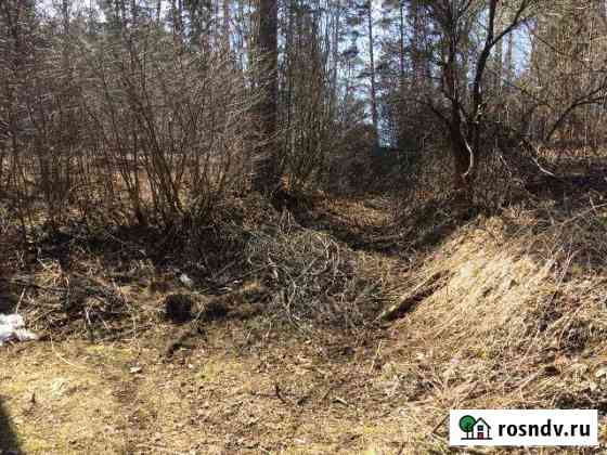 Участок СНТ, ДНП 4 сот. на продажу в Чайковском Чайковский