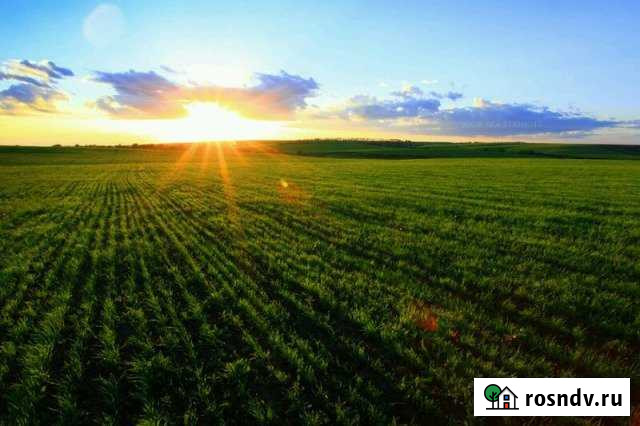 Участок СНТ, ДНП 19550 сот. на продажу в Иловле Иловля - изображение 1