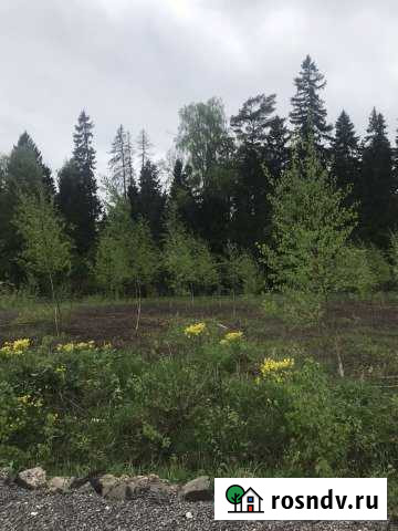 Участок СНТ, ДНП 6 сот. на продажу в Менделеево Московской области Менделеево - изображение 1