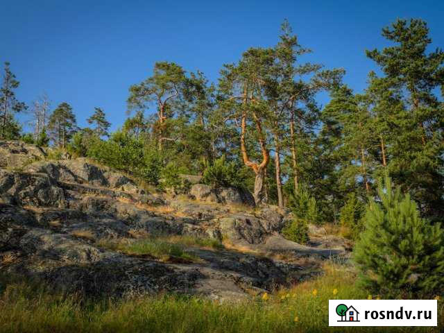 Участок ИЖС 15 сот. на продажу в Кузнечном Кузнечное - изображение 1