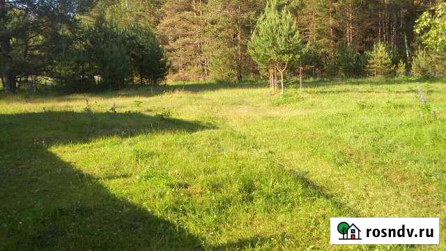 Участок ИЖС 15 сот. на продажу в Андреево Андреево - изображение 1