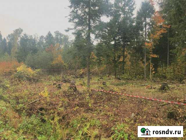 Участок СНТ, ДНП 10 сот. на продажу в Любане Любань - изображение 1