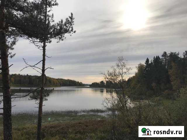 Участок ИЖС 30 сот. на продажу в Лахденпохье Лахденпохья - изображение 1