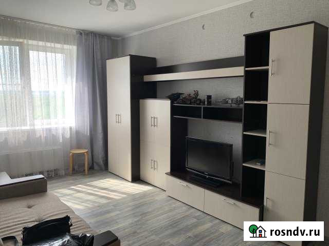 1-комнатная квартира, 40 м², 4/15 эт. в аренду на длительный срок в Лыткарино Лыткарино - изображение 1