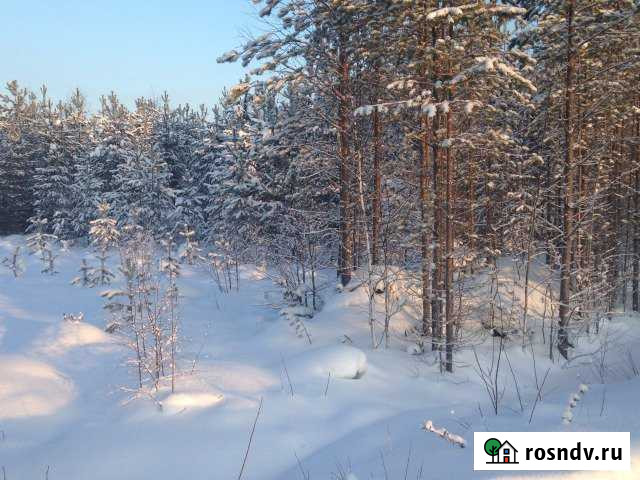 Участок СНТ, ДНП 10 сот. на продажу в Выльгорте Выльгорт - изображение 1