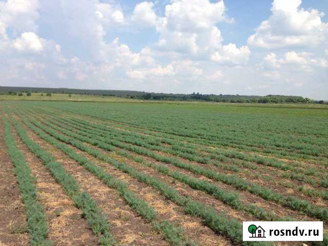 Участок СНТ, ДНП 2000 сот. на продажу в Ленинском Ленинский - изображение 1