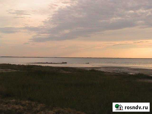 Участок СНТ, ДНП 300 сот. на продажу в Славгороде Славгород - изображение 1