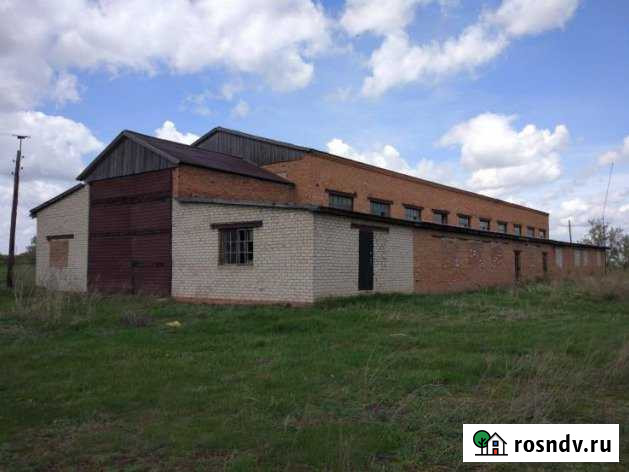 Помещение свободного назначения, 781 кв.м. Родино - изображение 1