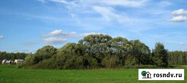 Участок ИЖС 30 сот. на продажу в Троицком Московской области Троицкое - изображение 1