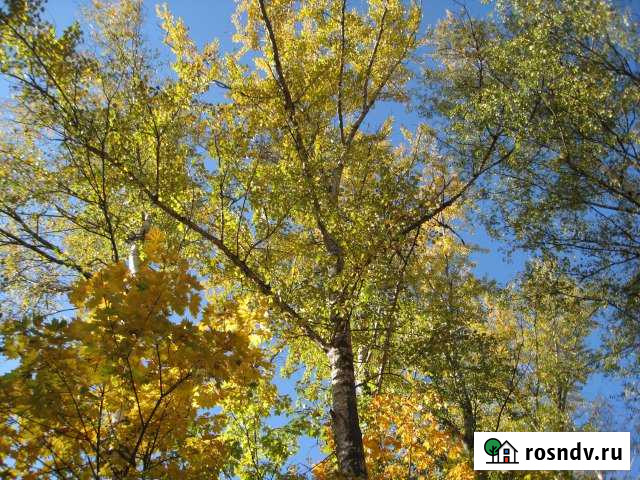 Участок ИЖС 14 сот. на продажу в Некрасовском Московской области Некрасовский - изображение 1