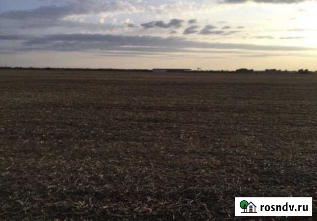 Участок СНТ, ДНП 400 сот. в аренду в Белореченске Белореченск - изображение 1