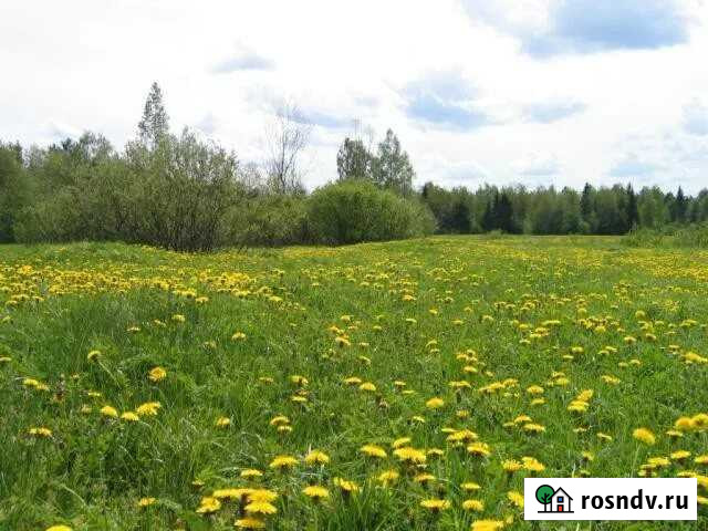 Участок СНТ, ДНП 2100 сот. на продажу в Ферзиково Ферзиково - изображение 1