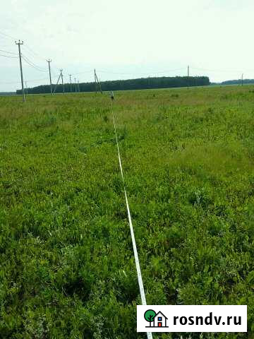 Участок СНТ, ДНП 15 сот. на продажу в Щелкуне Щелкун - изображение 1