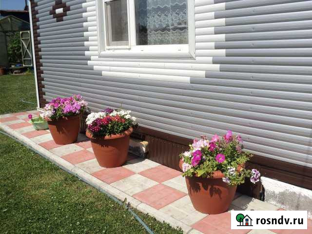 Дача 55 м² на участке 12 сот. на продажу в Сокуре Сокур - изображение 1