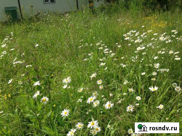 Участок СНТ, ДНП 8 сот. на продажу в Яхроме Яхрома - изображение 1