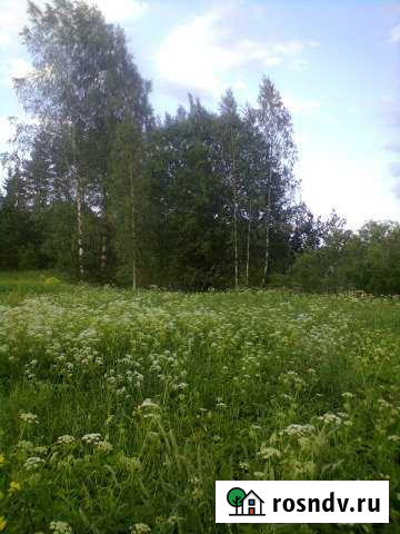 Участок ИЖС 24 сот. на продажу в Елизаветино Елизаветино - изображение 1