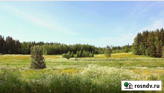 Участок СНТ, ДНП 592 сот. на продажу в Мелехово Мелехово - изображение 1