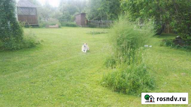 Дача 80 м² на участке 35 сот. на продажу в Лежнево Лежнево - изображение 1