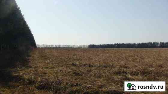 Участок СНТ, ДНП 420 сот. на продажу на Лугах Луга