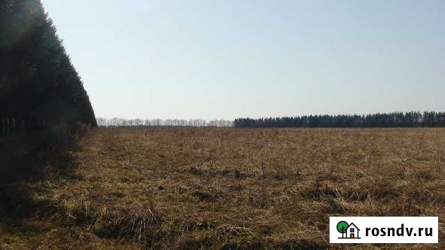 Участок СНТ, ДНП 420 сот. на продажу на Лугах Луга - изображение 1