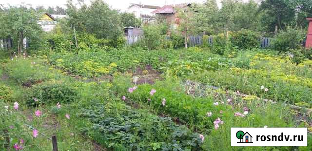 Дача 30 м² на участке 4 сот. на продажу в Дзержинске Дзержинск - изображение 1