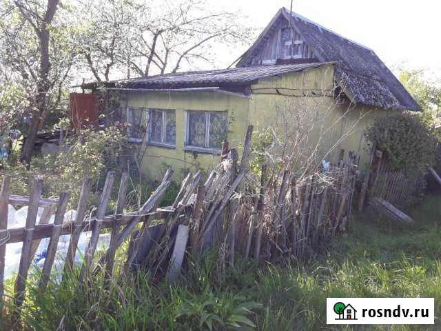 Дача 24 м² на участке 10 сот. на продажу в Багратионовске Багратионовск - изображение 1