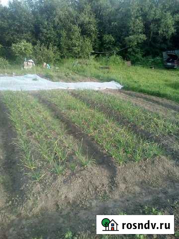 Участок СНТ, ДНП 15 сот. на продажу в Стрижах Стрижи - изображение 1