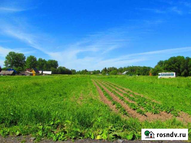 Участок ИЖС 12 сот. на продажу в Сосновом Бору Сосновый Бор - изображение 1