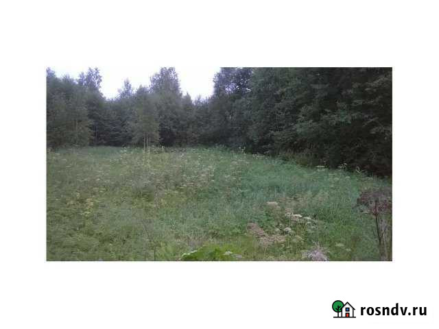 Участок СНТ, ДНП 20 сот. на продажу в Любане Любань - изображение 1