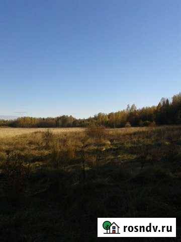 Участок СНТ, ДНП 450 сот. на продажу в Петре Дубраве Петра Дубрава - изображение 1