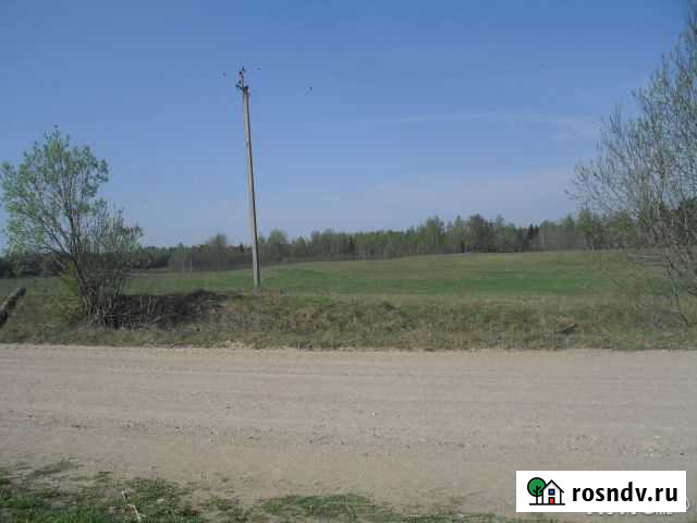 Участок СНТ, ДНП 630 сот. на продажу в Пустошке Пустошка - изображение 1