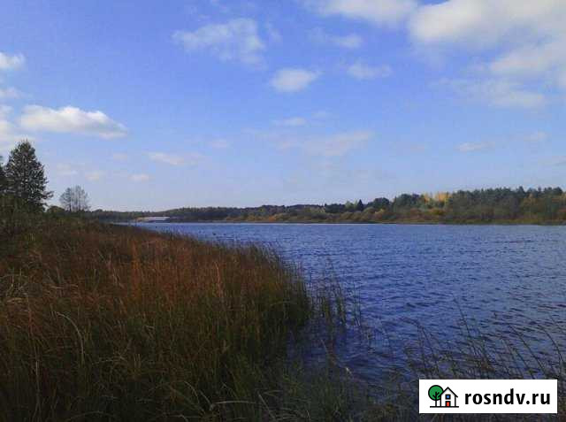 Участок ИЖС 40 сот. на продажу в Кашине Кашин - изображение 1