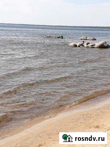 Дом 58 м² на участке 6 сот. на продажу в Сланцах Сланцы - изображение 1