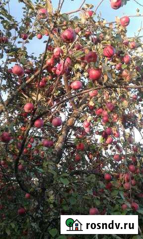 Участок ИЖС 10 сот. на продажу в Сарове Саров - изображение 1