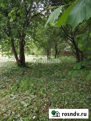 Участок ИЖС 25 сот. на продажу в Больших Вяземах Большие Вяземы - изображение 1