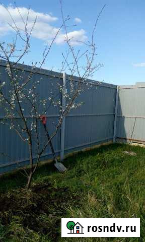 Участок ИЖС 12 сот. на продажу в Ольгинской Ростовской области Ольгинская - изображение 1