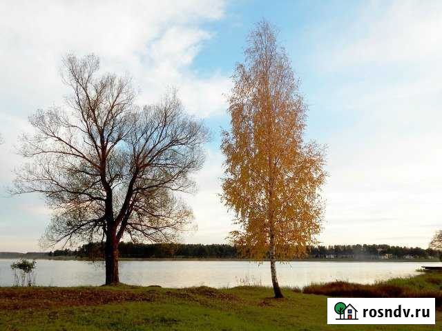 Участок ИЖС 157 сот. на продажу в Селижарово Селижарово - изображение 1