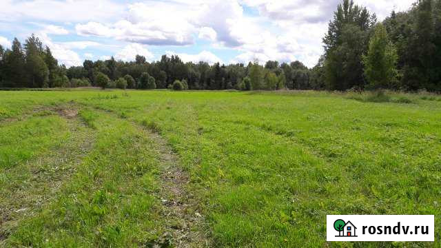 Участок СНТ, ДНП 1070 сот. на продажу на Лугах Луга - изображение 1