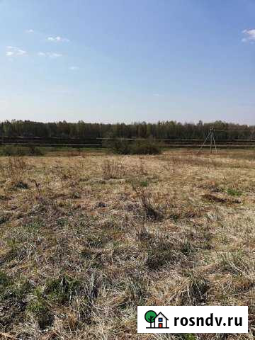 Участок СНТ, ДНП 13 сот. на продажу в Новосиньково Новосиньково - изображение 1