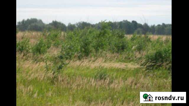 Участок СНТ, ДНП 1860 сот. в аренду в Ростове Ростов - изображение 1