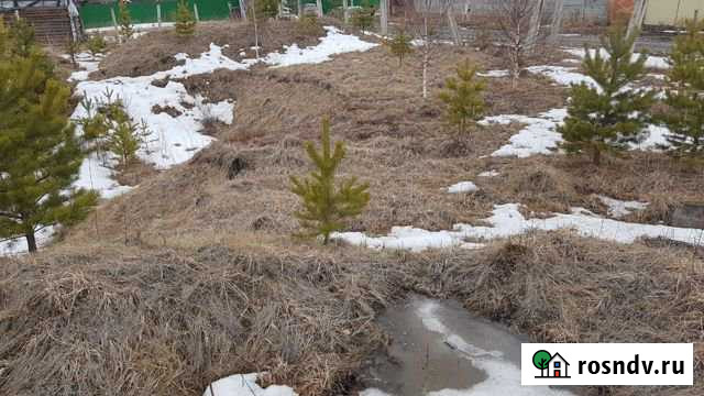 Участок ИЖС 25 сот. на продажу в Дивногорске Дивногорск - изображение 1