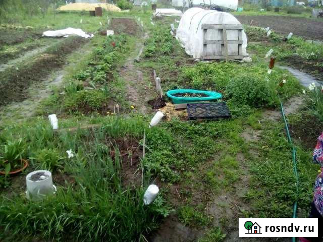 Дача 30 м² на участке 6 сот. на продажу в Юго-Камском Юго-Камский - изображение 1