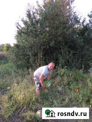 Участок СНТ, ДНП 6 сот. на продажу в Багратионовске Багратионовск - изображение 1