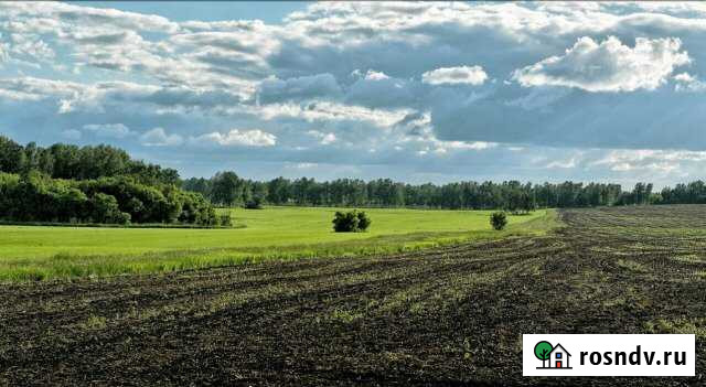 Участок СНТ, ДНП 2100 сот. на продажу в Лебедяни Лебедянь - изображение 1