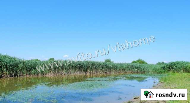 Участок СНТ, ДНП 14000 сот. на продажу в Оранжереях Оранжереи - изображение 1