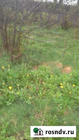 Участок СНТ, ДНП 6 сот. на продажу в Пролетарском Московской области Пролетарский - изображение 1